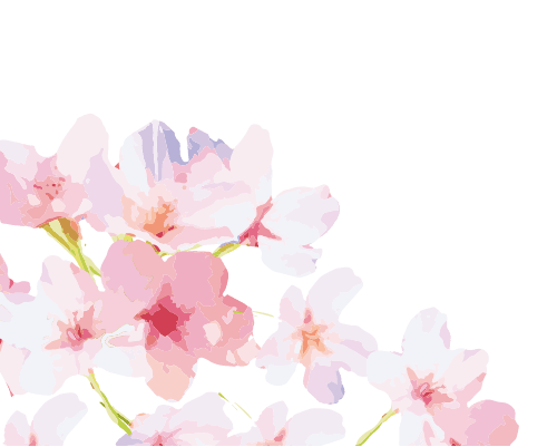 一心寺樹木葬の魅力