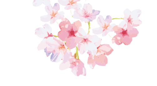 一心寺樹木葬の魅力