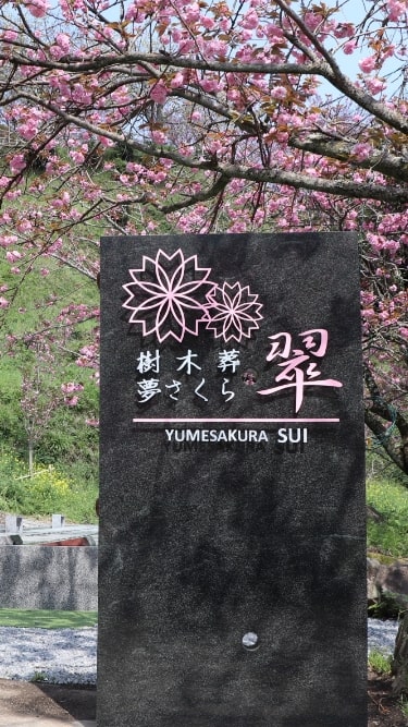 スライド5