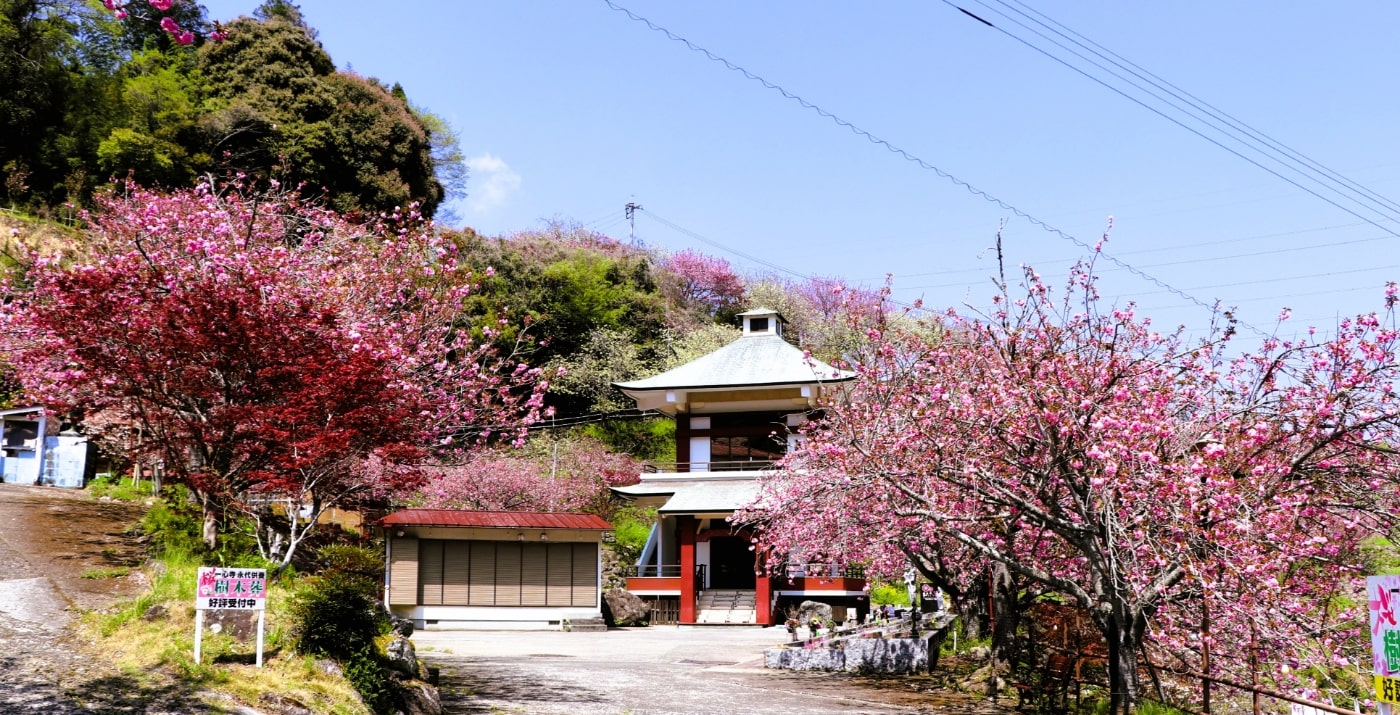 納⾻堂・永代供養墓の特徴