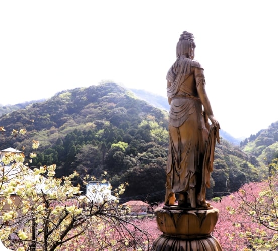 宗旨宗派不問